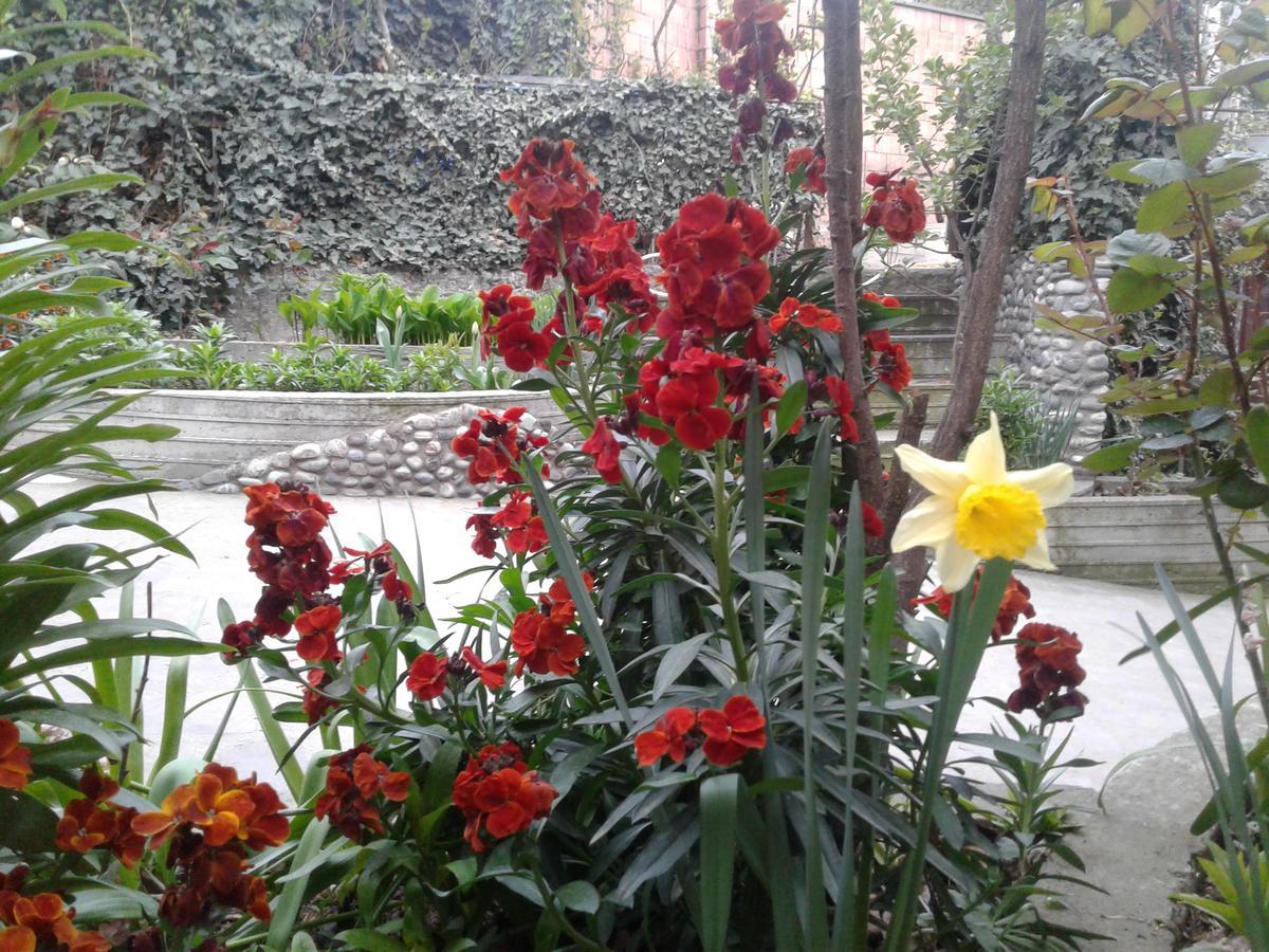 Guest House Edem Tbilisi Exterior foto